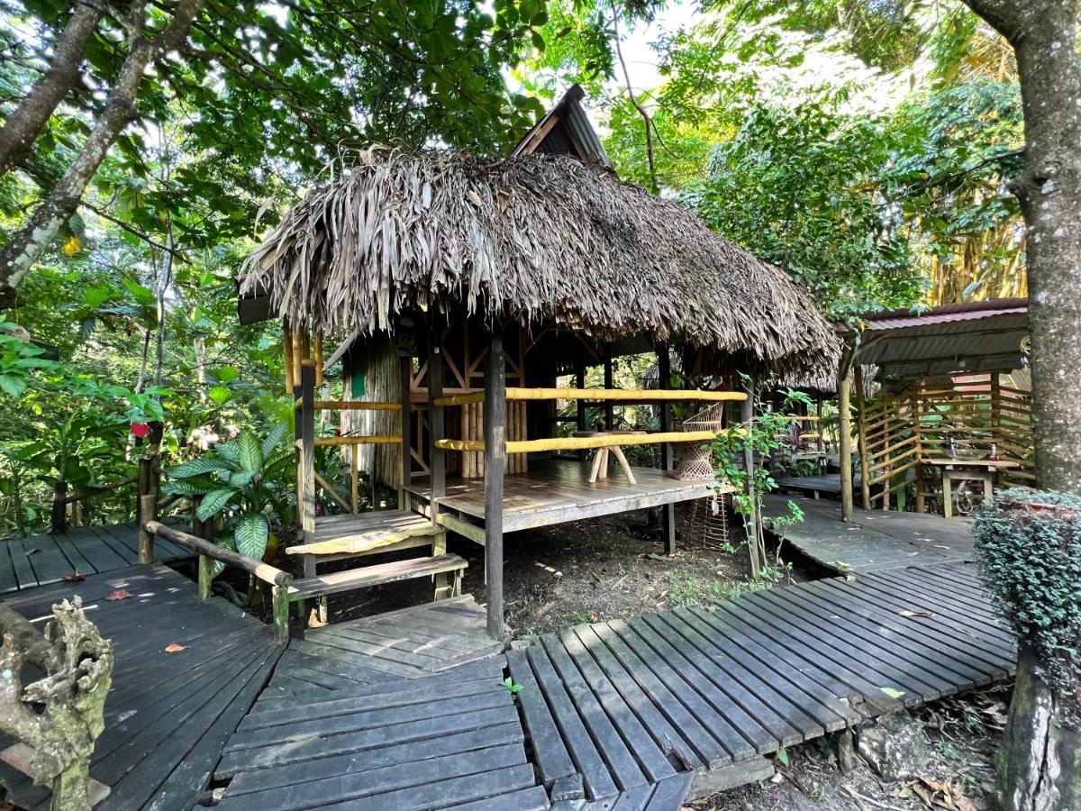 Cabanas Bambutan Palenque Bagian luar foto