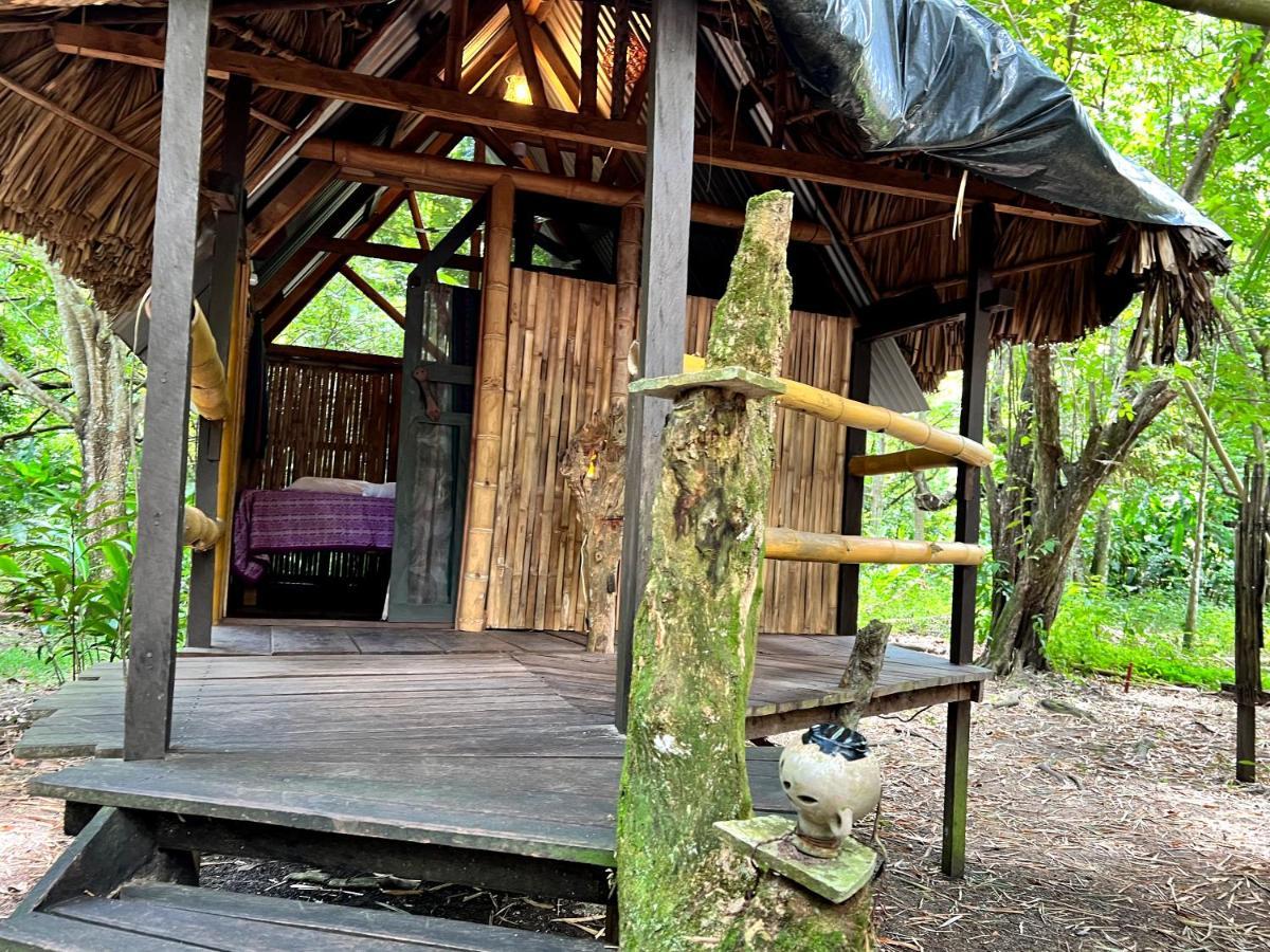 Cabanas Bambutan Palenque Bagian luar foto