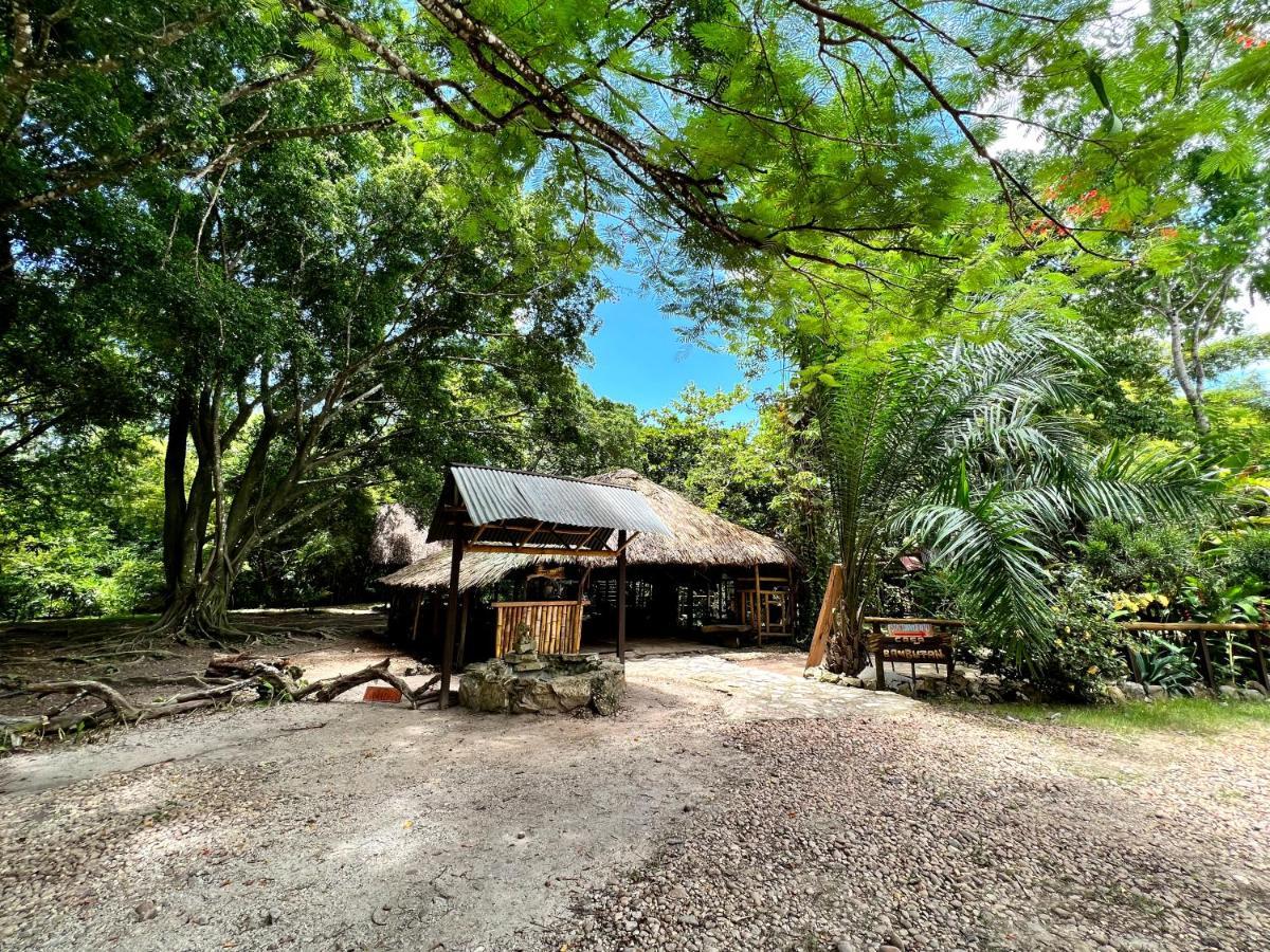 Cabanas Bambutan Palenque Bagian luar foto