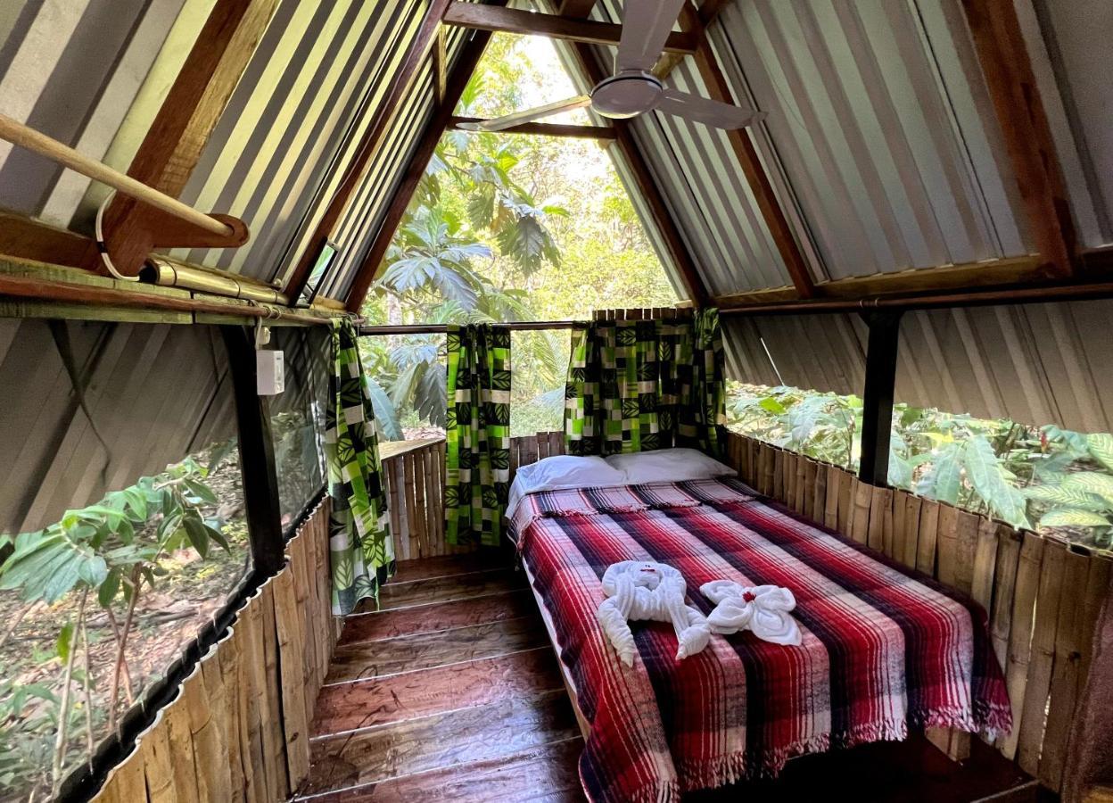 Cabanas Bambutan Palenque Bagian luar foto
