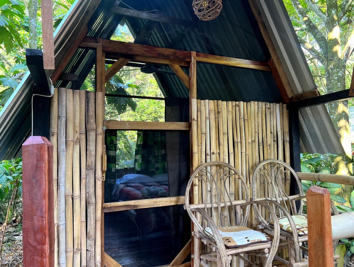Cabanas Bambutan Palenque Bagian luar foto