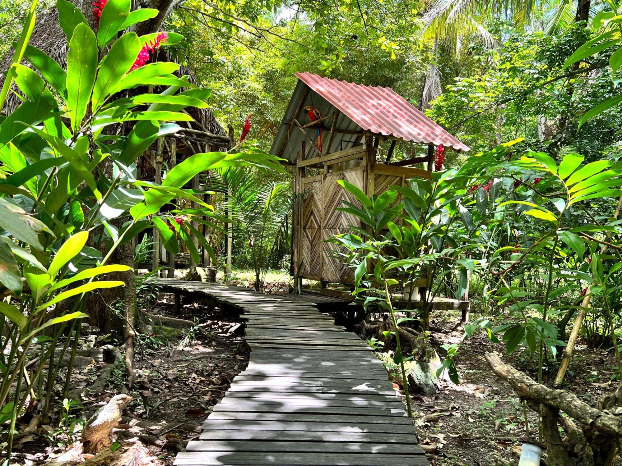 Cabanas Bambutan Palenque Ruang foto